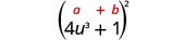 (4u³＋1)²。その上に一般形(a＋b)²がある。