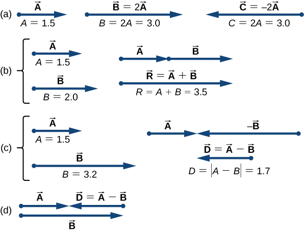 (a)ベクトルAは右向きで、大きさA = 1.5。ベクトルB = 2Aも右向きで、大きさB = 2A = 3.0。ベクトルC = −2Aの大きさはB = 2.0と示される。(b)Aは右向きで、大きさ1.5。その下に、尾をそろえて右向きのBが描かれ、大きさは2.0。別の配置では、Aの頭からBがさらに右へ伸びる。その下のベクトルR = A + Bは、尾がAの尾、頭がBの頭にそろい、右向きで、大きさはA + B = 3.5。(c)Aは右向きで、大きさ1.5。下に尾をそろえてBがあり、−Bは右向きで、大きさ3.2と示される。別の配置では、Aと左向きの−Bの頭が一致する。その下のベクトルD = A − Bは、Bより短く左向きで、頭がBの頭にそろう。大きさは差A − Bの絶対値で1.7。(d)右向きのAと左向きのD = A − Bの頭が一致し、その下に右向きのBが描かれている。