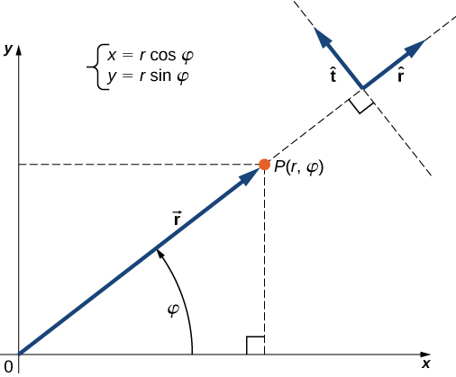 ベクトルrはxy座標系の原点から点Pへ向かい、xの正方向とのなす角はφ。x = r cos φ、y = r sin φである。rの方向の直線を点Pの先へ伸ばし、同方向に単位ベクトルrハットを描く。単位ベクトルtハットはrハットに垂直で、反時計回りに90度の方向を向く。