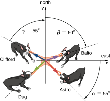 4匹の犬がおもちゃを引く図。おもちゃは座標系の原点にあり、+xは東、+yは北。アンは+x(東)から時計回りにα = 55度、ビンは+y(北)から時計回りにβ = 60度、チャンは+y(北)から反時計回りにγ = 55度の方向へ引く。ドンは第3象限内の、角度未指定の方向へ引く。