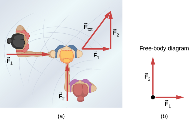 図(a)は、互いに垂直な力F1とF2で、2人が別の1人を押す様子を示す。別の図では、ベクトルの加算を示している。F1の終点にF2の始点をつなぐと、合成ベクトルF totalが三角形の斜辺になる。図(b)は、F1とF2を同じ点から描いた力の図である。