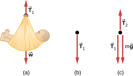 図(a)はかごの中の赤ちゃんで、T1が上向き、wが下向き。図(b)はT1が下向きの力の図。図(c)はT1とmgが下向き、T2が上向きの力の図。
