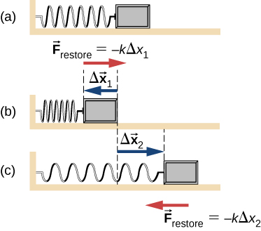 図(a)は左端を壁に固定し、右端に物体を付けたばね。右向きの矢印にF restore=−kΔx1と記される。図(b)は圧縮されたばねで、左向きの矢印がΔx1を示す。図(c)は右に伸ばされたばねで、右向きの矢印がΔx2、左向きの矢印がF restore=−kΔx2を示す。