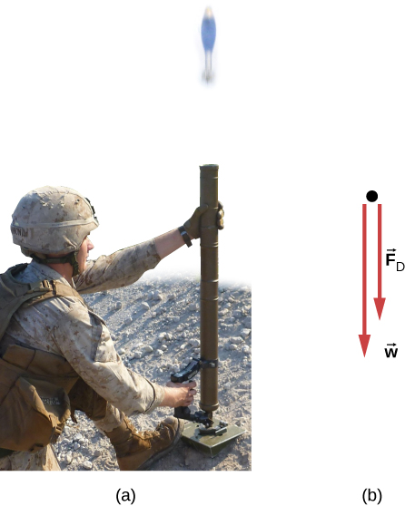 (a) 兵士が迫撃砲弾を真上に発射する写真。(b) 砲弾の力の図には、鉛直下向きのFDとwが描かれている。wはFDより大きい。
