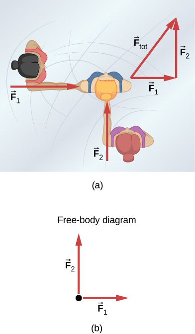 (a) 二人が別のスケーターを押す様子を上から見た図。一人の力F1は右向き、もう一人のF2は上向きで、それぞれの腕に沿う。ベクトル図ではF1が右向きの底辺、F2がそれに垂直な上向きの辺で、合力Ftotは右上へ向く斜辺となる。(b) スケーターに働くF1とF2だけを示す力の図。