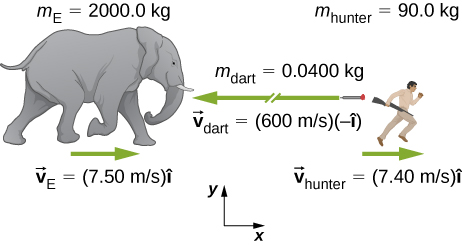 左にゾウ、右に狩猟者が描かれている。xy座標系では右がxの正方向、上がyの正方向である。ゾウにはm_E＝2000.0 kg、速度ベクトルv_E＝7.50 m/s × îと記され、その上の矢印は右を向く。狩猟者にはm_hunter＝90.0 kg、速度ベクトルv_hunter＝7.40 m/s × îと記され、やはり右向きの矢印がある。両者の間に麻酔矢があり、その近くに左向きの長い矢印と、速度ベクトルv_dart＝600 m/s ×（−î）、m_dart＝0.0400 kgという表示がある。
