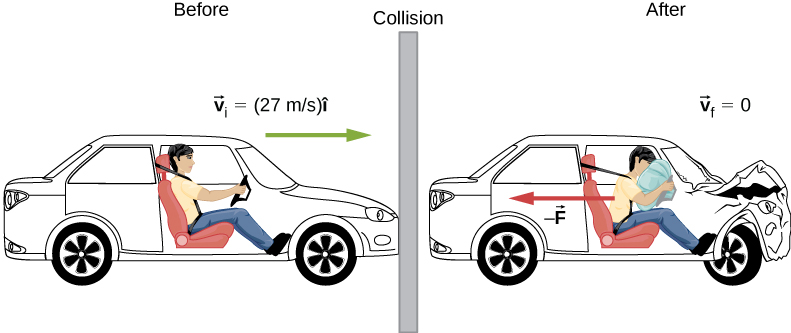衝突前の自動車は、右向きに初速度v_i＝27 m/sで走る。衝突後はv_f＝0で、乗員は左向きの力−Fを受ける。