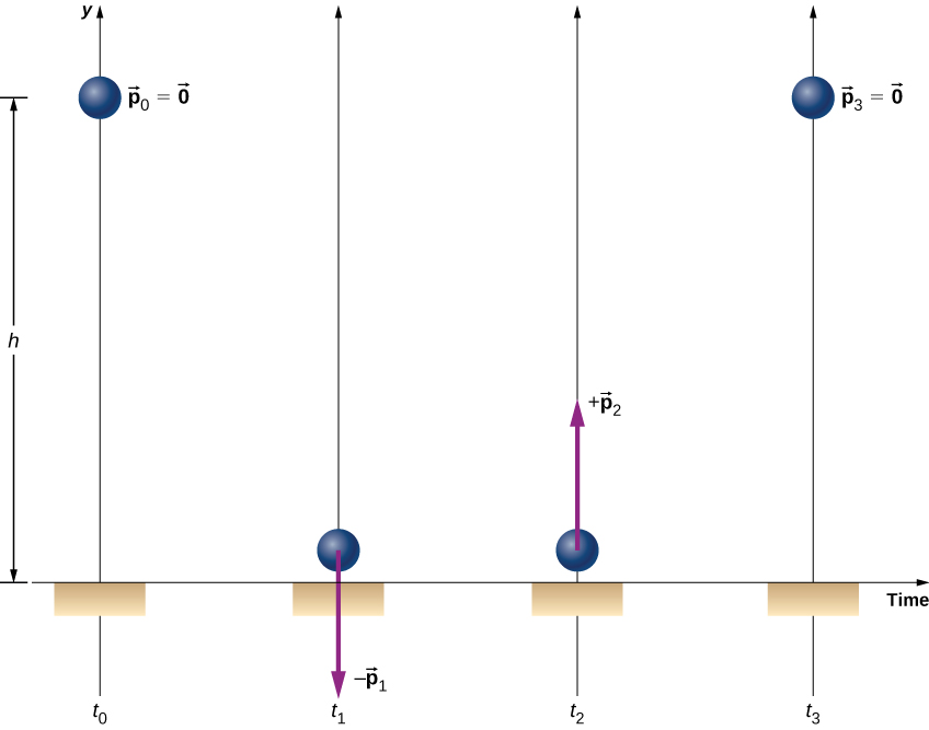 4つの時点のボールを示す。t₀では床からの高さhにあり、p₀=0。t₁では床の近くにあり、下向きの矢印に−p₁と記されている。t₂では床の近くで上向きの矢印に+p₂と記され、p₁とp₂の矢印は同じ長さである。t₃では再び高さhにあり、p₃=0となる。