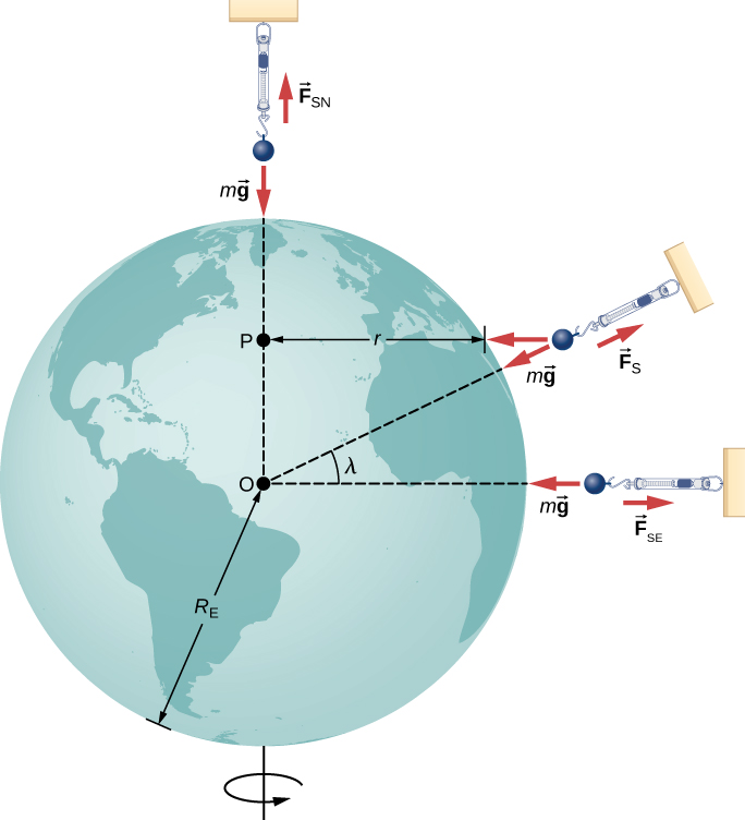 南北の軸を中心に自転する地球と、3か所に置かれたばねばかりの図。地球の半径はR E、中心はOと記されている。北極の上にあるばねばかりの質量には、上向きの力F S Nと下向きの力mgが作用する。地球の中心から北極まで破線が引かれている。 別のばねばかりは赤道の右側にあり、地球の中心と右側の赤道を破線で結んでいる。この質量には右向きのF S Eと左向きのmgが作用する。 3個目のばねばかりは水平方向と角度λをなす位置にある。地球の中心から、その方向の地表まで破線が伸びている。その地表の位置から、中心と北極を結ぶ鉛直の破線までの水平距離がrと記され、両者の交点がPと記されている。この質量には3本の力の矢印があり、F Sは半径方向の外向き、mgは半径方向の内向き、F cは水平左向きに示されている。