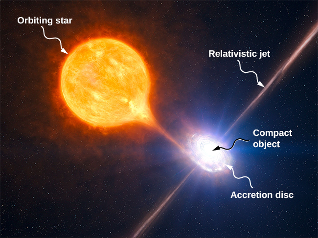 公転する恒星からコンパクト天体への降着を示す図。小さなコンパクト天体の近くに大きな恒星がある。明るい物質が恒星から引き出され、コンパクト天体を取り巻く渦巻きへ流れ込んでいる。この渦巻きは「降着円盤」と記されている。円盤に垂直な明るい線がコンパクト天体の中心から上下へ伸び、「相対論的ジェット」と記されている。
