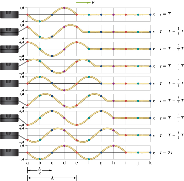 右へ進む横波の様子を、T/8の間隔で示す。波の各点を記した点印は、−Aと+Aの間を上下する。t=Tにつり合いの位置にある点は、t=T+2T/8で+A、t=T+4T/8でつり合いの位置、t=T+6T/8で−Aとなり、t=2Tに再びつり合いへ戻る。同様に、すべての点はt=2Tで元の位置へ戻る。